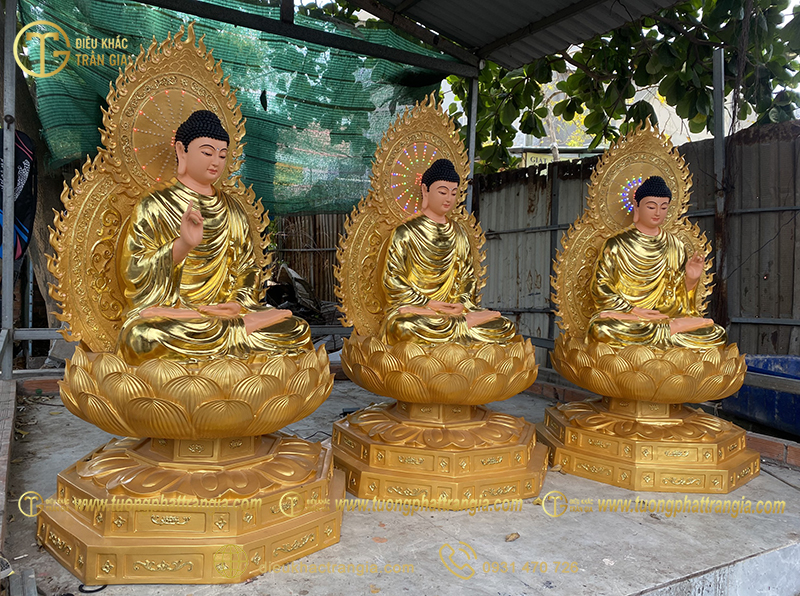 tuong tam the phat bang dong 8