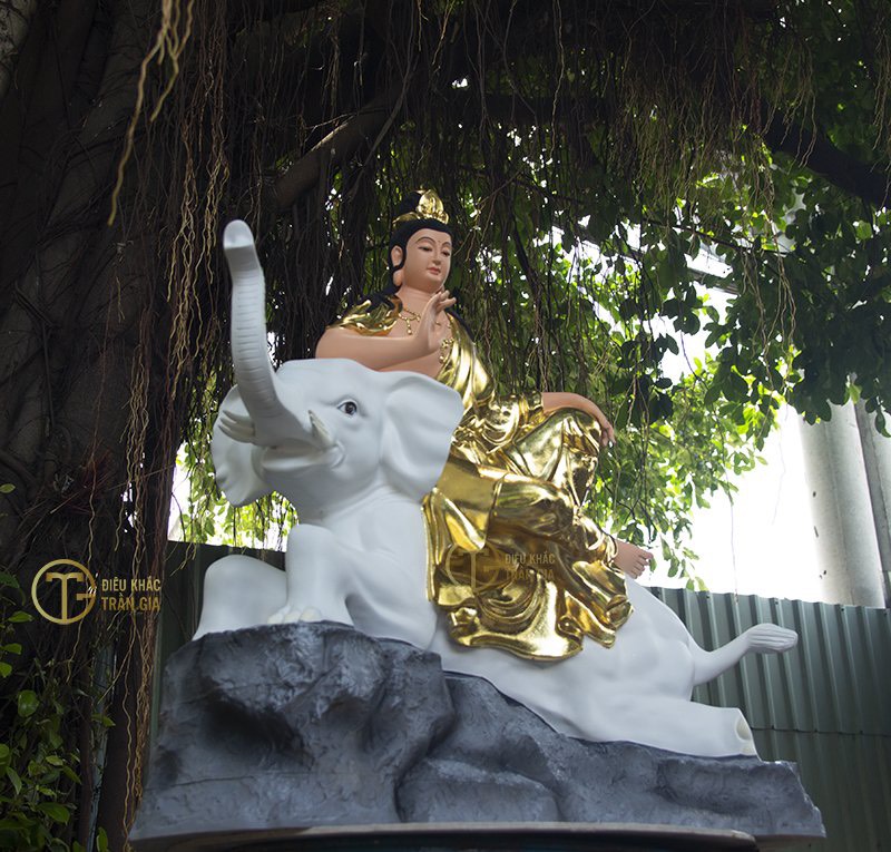 anh phat pho hien bo tat dep 97