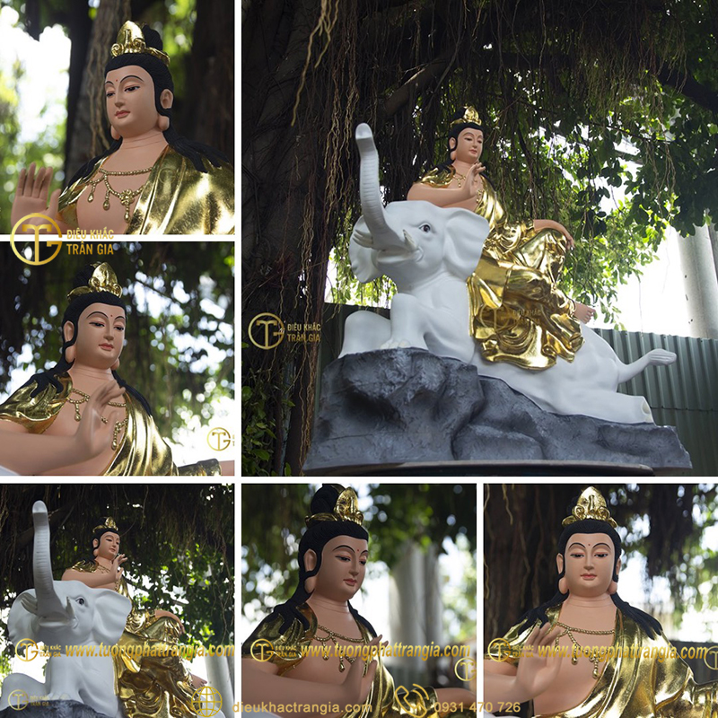 pho hien bo tat tuoi ty 11