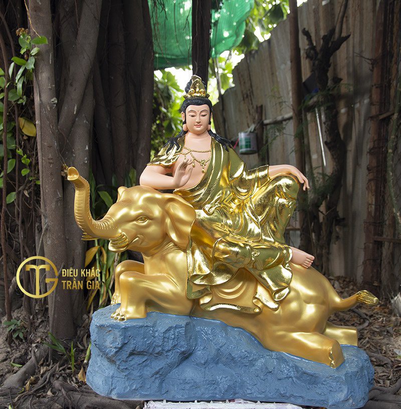 pho hien bo tat tuoi ty 115