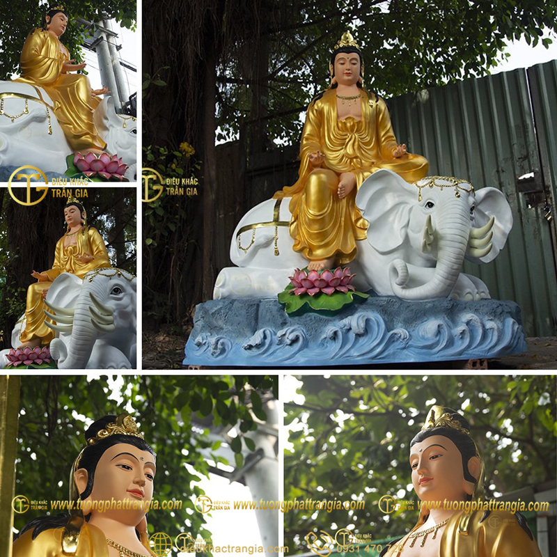 pho hien bo tat tuoi ty 22