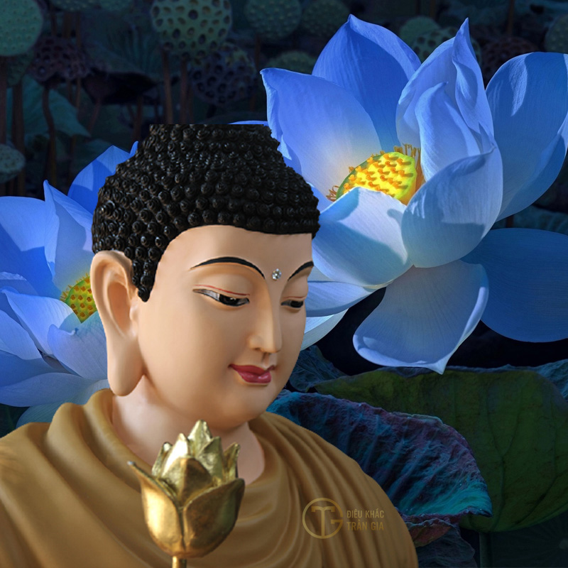 hinh phat thich ca 3d 34