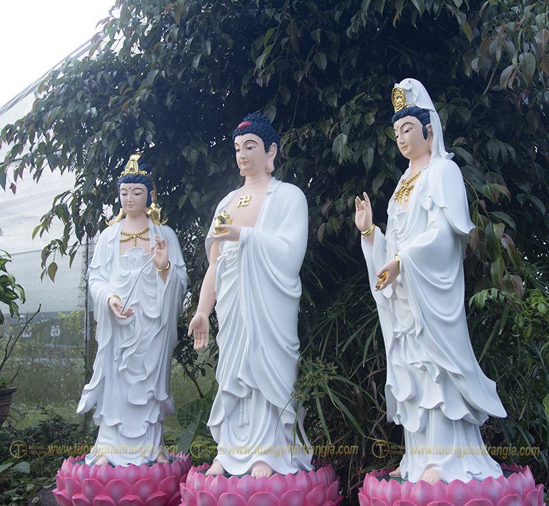 tuong tay phuong tam thanh composite 15