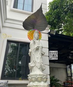 hinh anh mau la bo de che tuong phat ngoai troi 15