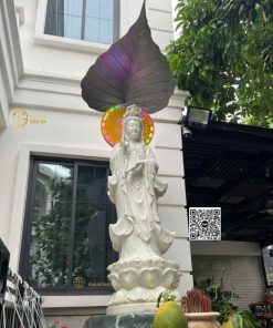 hinh anh mau la bo de che tuong phat ngoai troi 2