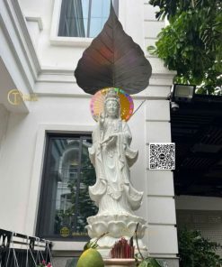 hinh anh mau la bo de che tuong phat ngoai troi 28