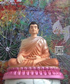 hinh anh mau tuong bon su an dia xuc 20cm do vang 1