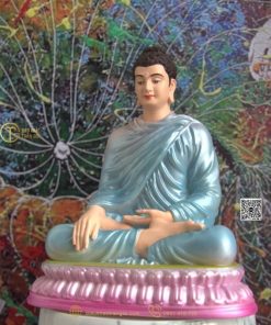 hinh anh mau tuong bon su an dia xuc 20cm xanh duong 1