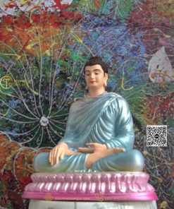 hinh anh mau tuong bon su an dia xuc 20cm xanh duong 2