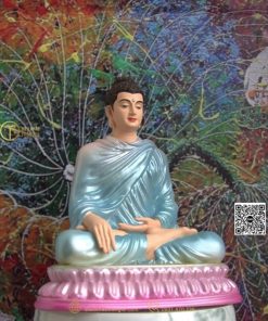 hinh anh mau tuong bon su an dia xuc 20cm xanh duong 5