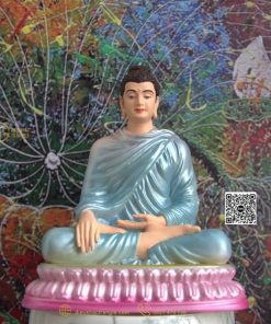 hinh anh mau tuong bon su an dia xuc 20cm xanh duong 6