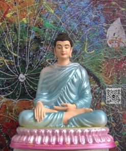 hinh anh mau tuong bon su an dia xuc 20cm xanh duong 7