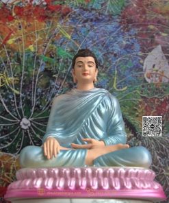 hinh anh mau tuong bon su an dia xuc 20cm xanh duong 8