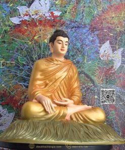 hinh anh mau tuong bon su an dia xuc 30 cam 11