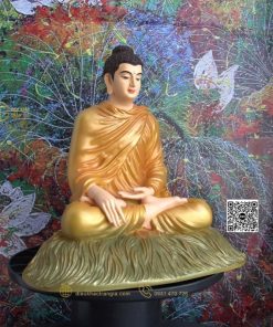 hinh anh mau tuong bon su an dia xuc 30 cam 13