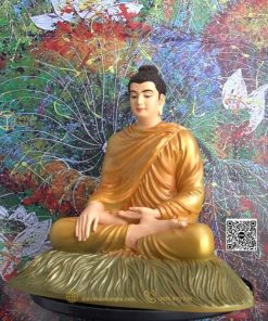 hinh anh mau tuong bon su an dia xuc 30 cam 16