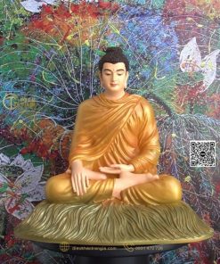 hinh anh mau tuong bon su an dia xuc 30 cam 5