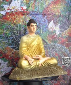 hinh anh mau tuong bon su an dia xuc 30 vang 13