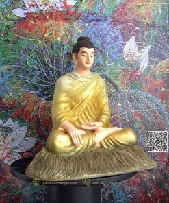 hinh anh mau tuong bon su an dia xuc 30 vang 14