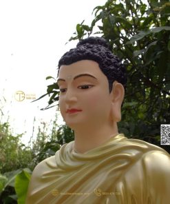 hinh anh mau tuong bon su an dia xuc 80cm xanh 11