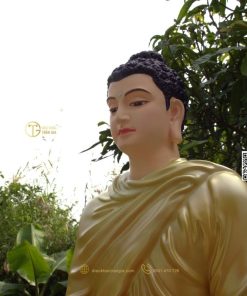 hinh anh mau tuong bon su an dia xuc 80cm xanh 12