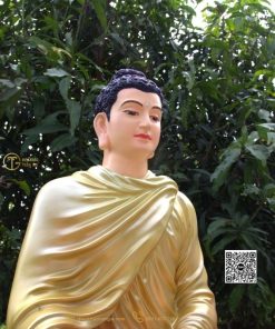 hinh anh mau tuong bon su an dia xuc 80cm xanh 13