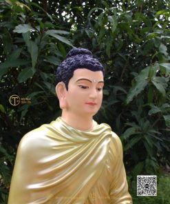 hinh anh mau tuong bon su an dia xuc 80cm xanh 14