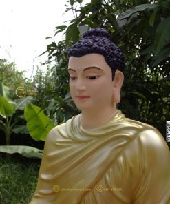 hinh anh mau tuong bon su an dia xuc 80cm xanh 9