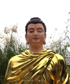 hinh anh mau tuong bon su an dia xuc composite 80cm 1