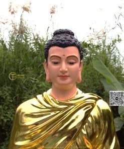 hinh anh mau tuong bon su an dia xuc composite 80cm 10