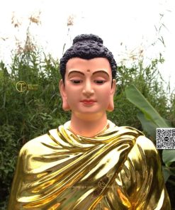 hinh anh mau tuong bon su an dia xuc composite 80cm 11