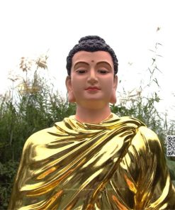 hinh anh mau tuong bon su an dia xuc composite 80cm 20