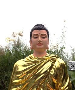 hinh anh mau tuong bon su an dia xuc composite 80cm 21