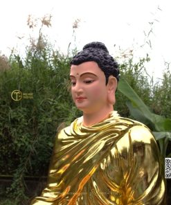 hinh anh mau tuong bon su an dia xuc composite 80cm 24