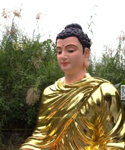 hinh anh mau tuong bon su an dia xuc composite 80cm 25