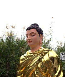 hinh anh mau tuong bon su an dia xuc composite 80cm 28