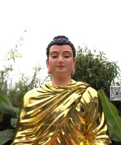 hinh anh mau tuong bon su an dia xuc composite 80cm 33