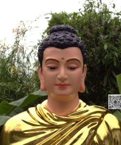 hinh anh mau tuong bon su an dia xuc composite 80cm 34