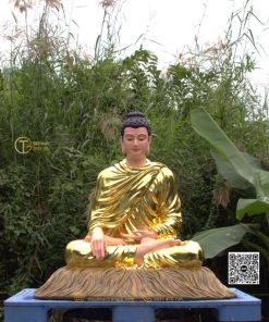 hinh anh mau tuong bon su an dia xuc composite 80cm 41