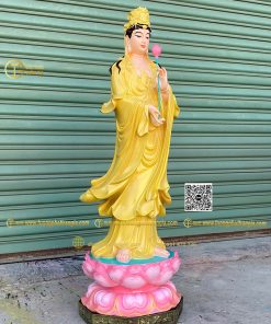 hinh anh mau tuong dai the chi bo tat dung dai sen 1 1