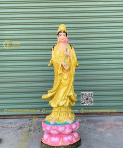 hinh anh mau tuong dai the chi bo tat dung dai sen 4