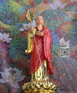 hinh anh mau tuong muc kien lien bo tat dung dai sen 60cm 3