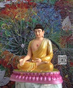 hinh anh mau tuong phat a di da ngoi 6