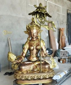 mua tuong bach tan cai phat mau