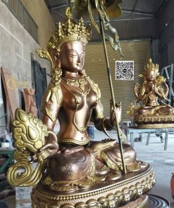 thinh tuong bach tan cai phat mau