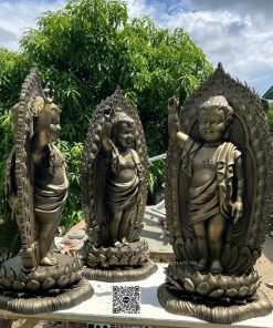 hinh tuong phat dan sanh 2 mat gia dong