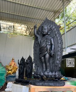 tuong dan sanh 2 mat